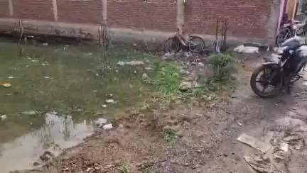पटेरा: पटेरा के वार्ड नंबर-1 में जलभराव से रहवासी परेशान, नगर परिषद में दर्ज कराई शिकायत