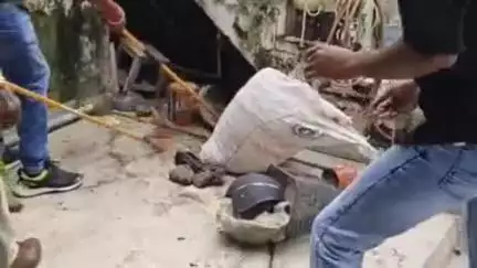 झांसी: नंदू कॉलोनी में घर पर निकले जहरीला गोह को वन विभाग की टीम ने पकड़ा, वीडियो हुआ वायरल