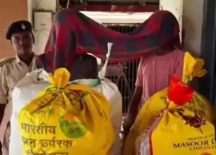 पूर्णिया पूर्व: बायसी पुलिस ने 66.365 किलोग्राम गांजे के साथ दो अभियुक्तों को गिरफ्तार कर न्यायिक हिरासत में भेजा