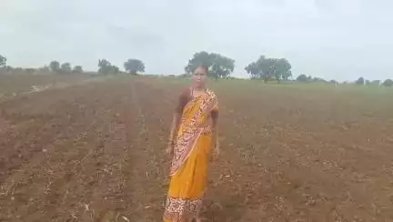 ముసలమడుగు గ్రామంలో అడవి పందుల బెడదతో: బెంబేలెత్తుతున్న రైతులు