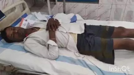 मधेपुरा: अरार बिशनपुर गांव में जहरीले सांप ने किशोर कुमार को काटा, बेहोश होने पर परिजन ने अस्पताल में कराया भर्ती