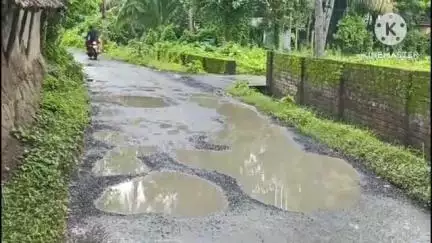 কুলপি: করঞ্জলী থেকে ঢোলা পিচের রাস্তা বেহাল অতিরিক্ত বৃষ্টিতে পিচ উঠে গিয়েচে#jansamasya
