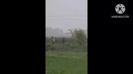 निज़ामाबाद: तेज बारिश और हवा से गिरा शीशम का पेड़, बड़ागांव-चकिया मार्ग पर घंटों आवागमन बाधित