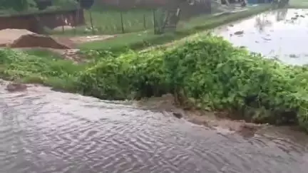 सरिया: सरिया में बारिश से वार्ड नंबर 12 में जलजमाव, नाली न होने से सड़क पर बह रहा है पानी