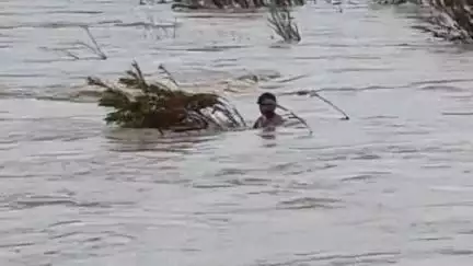 बालाघाट: वैनगंगा नदी में बह रहे युवक को एसडीईआरएफ टीम ने बचाया, पुल से मछली पकड़ते समय गिरा था