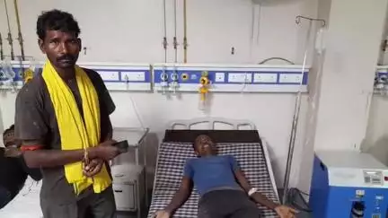 बरही: बरमानी गांव में खेत में काम करते समय किसान को सांप ने डसा, हालत बिगड़ने पर बरही अस्पताल में भर्ती