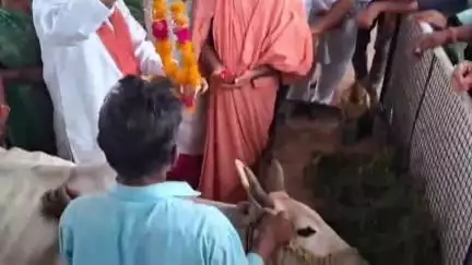 शामगढ़: शामगढ़ के गोवर्धन पर्वत पर वृक्षारोपण कार्यक्रम का हुआ आयोजन; सांसद, विधायक, BJP ज़िलाध्यक्ष एवं संत श्री भी रहे मौजूद