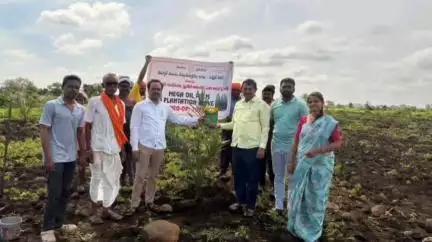 నిర్మల్: ఆయిల్పామ్ సాగుతో లాభాలు:జిల్లా ఉద్యాన, పట్టు పరిశ్రమ శాఖ అధికారి రమణ.