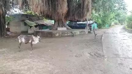 सिलवानी: ग्राम पड़रिया खुर्द में खेल मैदान व पौधारोपण के नाम पर ₹5.80 लाख हुआ घोटाला; सरपंच, सचिव व रोजगार सहायक पर लगे आरोप