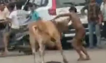 यूपी के उन्नाव में नशे में सांड से भिड़ा शख्स, कपड़े उतारकर लड़ते हुए वीडियो आया सामने
Source: @shabanmalikreporter000