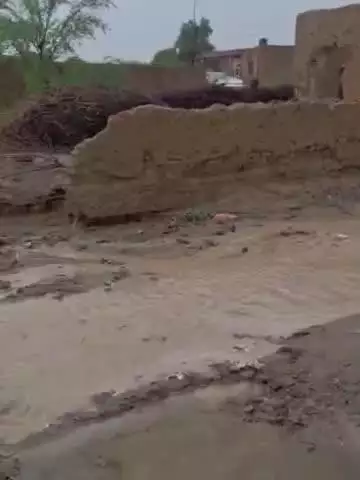 अनूपगढ़: अनूपगढ़ के गांव 15 एपीडी में बरसात के कारण गांव का मुख्य रास्ता बंद हुआ