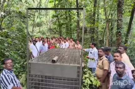 റാന്നി: പുലി സാന്നിധ്യം, നെല്ലിശ്ശേരിപ്പാറയിൽ പുലിക്കൂടും ക്യാമറയും സ്ഥാപിച്ചു, പ്രമോദ് നാരായൺ MLA സ്ഥലത്തെത്തി