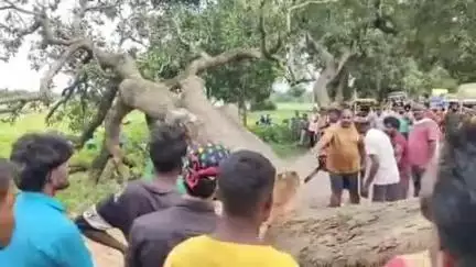 गुमला: नवाडीह भाटा के पास गुमला-घाघरा रोड पर पेड़ गिरने से 3 घंटे तक लगा रहा जाम