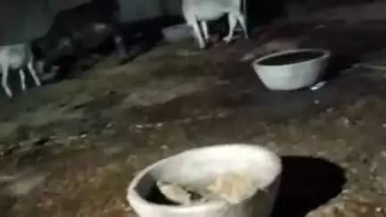 गोपद बनास: सीधी शहर के काजी हाउस में अव्यवस्था, शिवसेना प्रदेश उपाध्यक्ष ने दिया पत्र