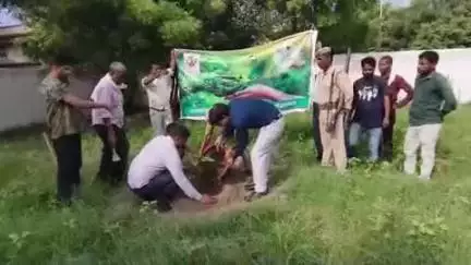 अमृतपुर: अमृतपुर तहसील में उप जिलाधिकारी व वन रेंजर ने किया वृक्षारोपण, अधिवक्ताओं को मिलेगी छाया