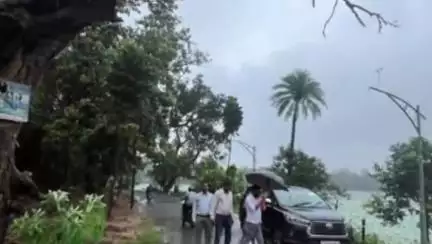 हज़ारीबाग: हजारीबाग में सूखे पेड़ों को हटाने की कार्रवाई शुरू, विधायक ने किया निरीक्षण