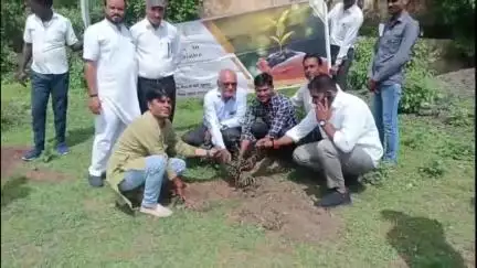 सुसनेर: अमृत हरित महाअभियान के तहत सुसनेर में वृक्षारोपण किया गया, नगर परिषद के ज़िम्मेदार और जनप्रतिनिधि रहे उपस्थित