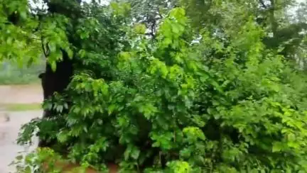 ଦେବଗଡ: କାଳିଆପାଳ ତାଙ୍କଜୁରା ନାଳ ପୋଲ ଉପରେ ଚାଲିଲା ୩ ଫୁଟ ଉଚ୍ଚର ବର୍ଷା ପାଣି, ଗମନାଗମନ ବାଧାପ୍ରାପ୍ତ