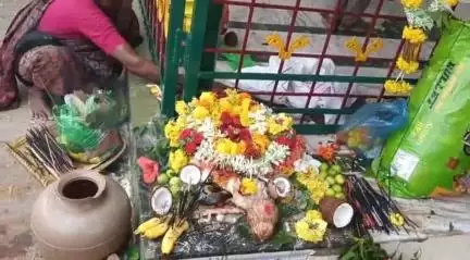 ಚಳ್ಳಕೆರೆ: ಹೋಳಿಗೆಯಮ್ಮ ಹಬ್ಬವನ್ನು ಶ್ರದ್ದಾ ಭಕ್ತಿಯಿಂದ ಆಚರಿಸಿದ ಚಿತ್ರಯ್ಯನಹಟ್ಟಿ ಗ್ರಾಮಸ್ಥರು