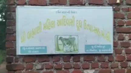 ભિલોડા: ભિલોડાની મલેકપુર ગામમાં દૂધ ઉત્પાદકોનો રસ્તા પર દૂધ ઢોળી ભારે વિરોધ