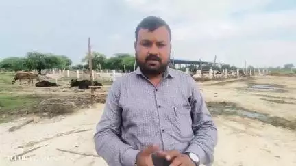 फतेहपुर: उन्नौर कामधेनु गौशाला की कैमरे में कैद हकीकत, दावे से बढ़कर हकीकत, फाइलों में 210 गौबंश, भिटौरा ब्लाक का मामला