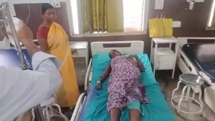 गोड्डा: सरकंडा के पास खेत में धान रोप रही महिला को सांप ने काटा, अस्पताल में इलाज जारी