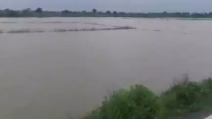 घोसी: बड़की बभनपुरा में नहर से अचानक पानी आने से धान की फसल डूबी