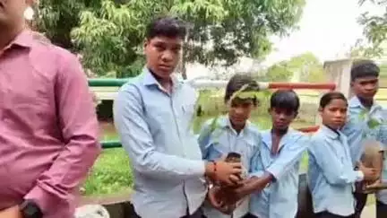 सरवाड़: जावला विद्यालय में हरियालो राजस्थान कार्यक्रम के तहत किया पौधरोपण, पर्यावरण संरक्षण का दिया संदेश