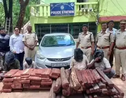 ఆత్మకూరు: చేజర్ల అటవీ ప్రాంతంలో రూ.50 లక్షల విలువైన 192 ఎర్రచందనం దుంగలను స్వాధీనం చేసుకున్న టాస్క్ ఫోర్స్ అధికారులు