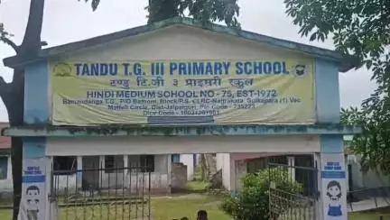 ধূপগুড়ি: ফের নাগরাকাটার  টন্ডু টিজি থ্রী প্রাথমিক স্কুলে হামলা চালালো দলছুট হাতি, এলাকায় আতঙ্ক