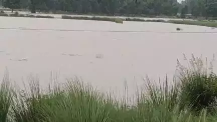 ভাতার: 30 দিনের বৃষ্টিতে হু হু করে বাড়ছে কুনুর নদীর জল, চিন্তায় ভাতারের পাঁচটি গ্রামের মানুষ