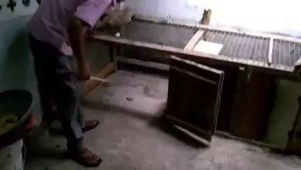 ধূপগুড়ি: নাগরাকাটার সেন্ট ক্যাপাটিনিও হাইস্কুলের হোস্টেলের মুরগির ঘরে ঢুকে পর পর নটা ডিম গিলে খেল গোখরো সাপ
