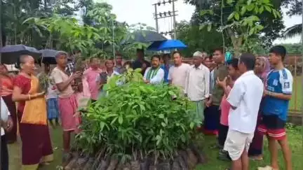 সোনামুড়া: দশরথ বাড়িতে 25টি পরিবারের পাট্টা হোল্ডারদের প্রায় আড়াই হাজার রবার চারা বিতরণ, উপস্থিত MDC