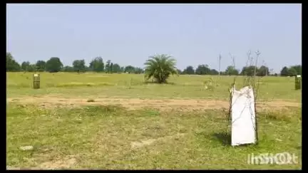 गोंदिया: लोधीटोला जंगलात आढळला बेपत्ता व्यक्तीचा सांगाडा
