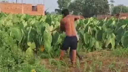 फुलवरिया: जटहा गांव: केस वापस न लेने पर महिला के पति और भैसुर पर जानलेवा हमला, वीडियो आया सामने