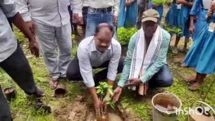 ଅତାବିରା: ବାବେବିରା ହାଇସ୍କୁଲରେ ବନମହୋତ୍ସବ