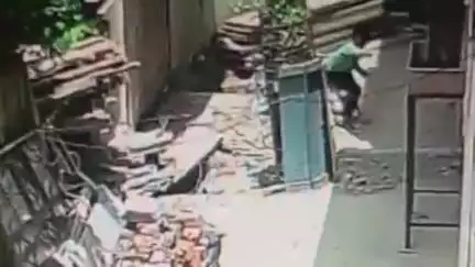परभणी: सुभाष रोडवर मोकाट कुत्र्यांच्या हल्ल्यात अनेक जण जखमी; कुत्र्यांचा बंदोबस्त करा नागरिकांची मागणी #Jansamasya