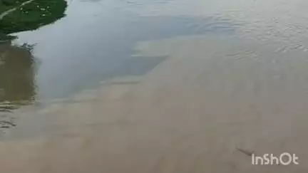शाहजहांपुर: लगातार बारिश के कारण नदी-नाले उफान पर, नरोरा से छोड़ा गया 14119 क्यूसेक पानी
