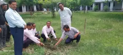 बीघापुर: जिला विद्यालय निरीक्षक ने बीघापुर तहसील क्षेत्र के विद्यालयों का किया औचक निरीक्षण, RRBN इंटर कालेज में वृक्षारोपण किया