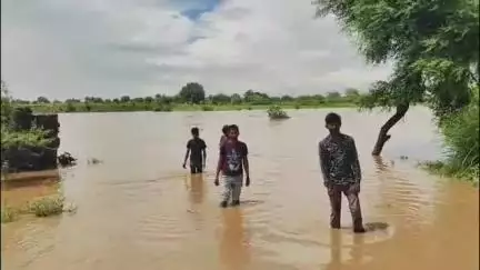 मुरैना नगर: चम्बल अंचल में भारी बारिश से क्वारी नदी उफान पर, पलपुरा रपटा सहित 8 रपटे पानी में डूबे, वीडियो वायरल