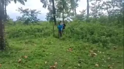 মাটিগাড়া: বৈকণ্ঠপুর জঙ্গলে পচাগলা দেহ উদ্ধার, চাঞ্চল্য রাজ ফাঁপড়ি এলাকায়