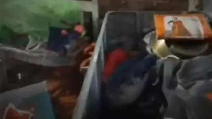 चेरिया बरियारपुर: मंझौल पंचायत के वार्ड 4 में अज्ञात चोरों ने एक घर से लाखों के जेवर व ₹1.5 लाख नगद चुराए