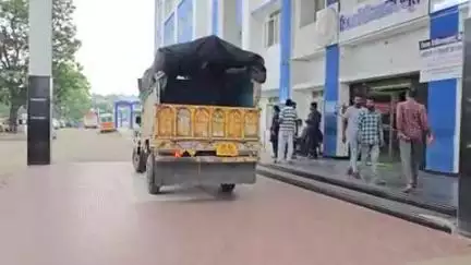 बैतूल: नए गांव में जंगल में बकरी चराते समय बुजुर्ग महिला को जहरीले सांप ने काटा