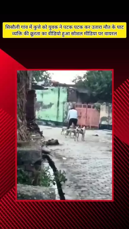 मेरठ: सिसौली गांव में एक शख्स ने सड़क पर कुत्ते को पटक-पटक कर उतारा मौत के घाट, वीडियो हुआ वायरल