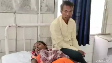 ଲକ୍ଷ୍ମୀପୁର: ପଝାର ଗ୍ରାମରେ ସାପ କାମୁଡ଼ାରେ ମହିଳା ଗୁରୁତର, ଡାକ୍ତରଖାନାରେ ଭର୍ତି