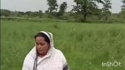 चन्द्रपुरा: झारखंड राज्य बाल अधिकार संरक्षण की अध्यक्ष बेबी देवी ने सिमरा कुल्ही स्थित खेत में की धानरोपनी