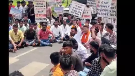चौरई: चौरई नगर में ट्रक की टक्कर से दो गायों की दर्दनाक मौत, हिंदू संगठनों ने किया विरोध