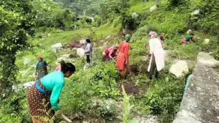 भटवाड़ी: भैलूडा गांव में हरेला पर्व की पूर्व तैयारियों के तहत महिलाओं ने वृक्षारोपण के लिए किए गड्ढे