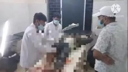 साहिबगंज: पहाड़पुर में ऑटो और ट्रैक्टर की टक्कर में ऑटो चालक गंभीर रूप से घायल, अस्पताल रेफर