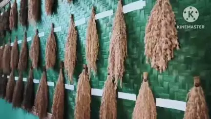 পূব যোৰহাট: মেলেং কাঠগাঁও স্থিত "অন্নপূৰ্ণা বীজ ভঁৰাল"ত বিভিন্ন বীজ কৰা হয় সংৰক্ষণ , আজি পৰিদৰ্শন কৰে কৃষিমন্ত্ৰীয়ে